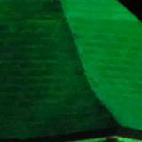 大濠公園の写真